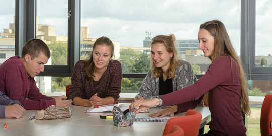 Guidelines for Writing a Bachelor's Thesis Students are sitting at a desk browsing in some documents.
