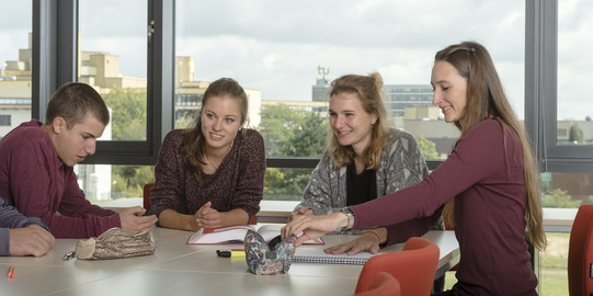 Eine Gruppe Studierender sitzt mit Lernunterlagen am Tisch.